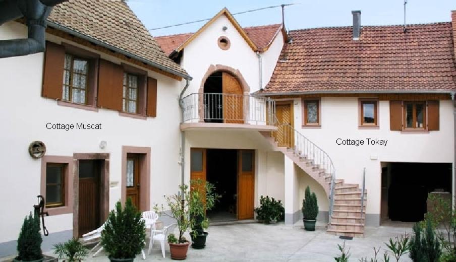 Gites Le Tokay Et Le Muscat Gertwiller Zimmer foto