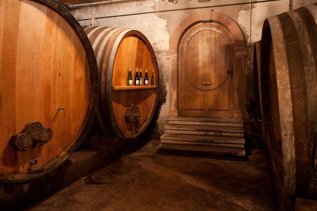 Gites Le Tokay Et Le Muscat Gertwiller Zimmer foto